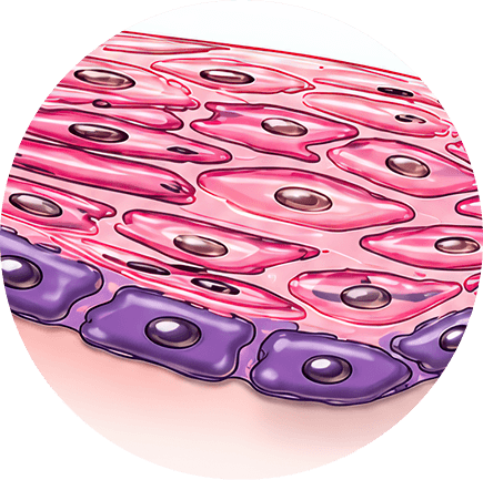 Cell Damage