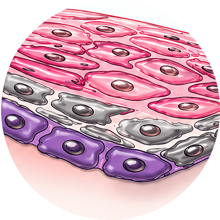 Cell Death