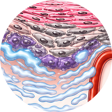 Interstitial Pressure